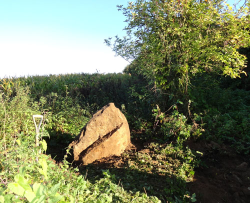 The Boundary Marker Stone left in position at Southmoor Henge